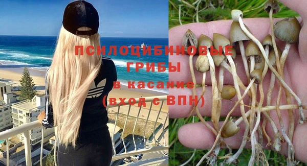 МДПВ Абаза