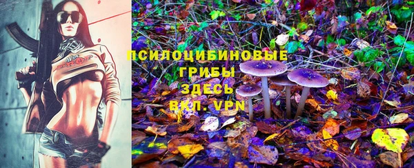таблы Абинск